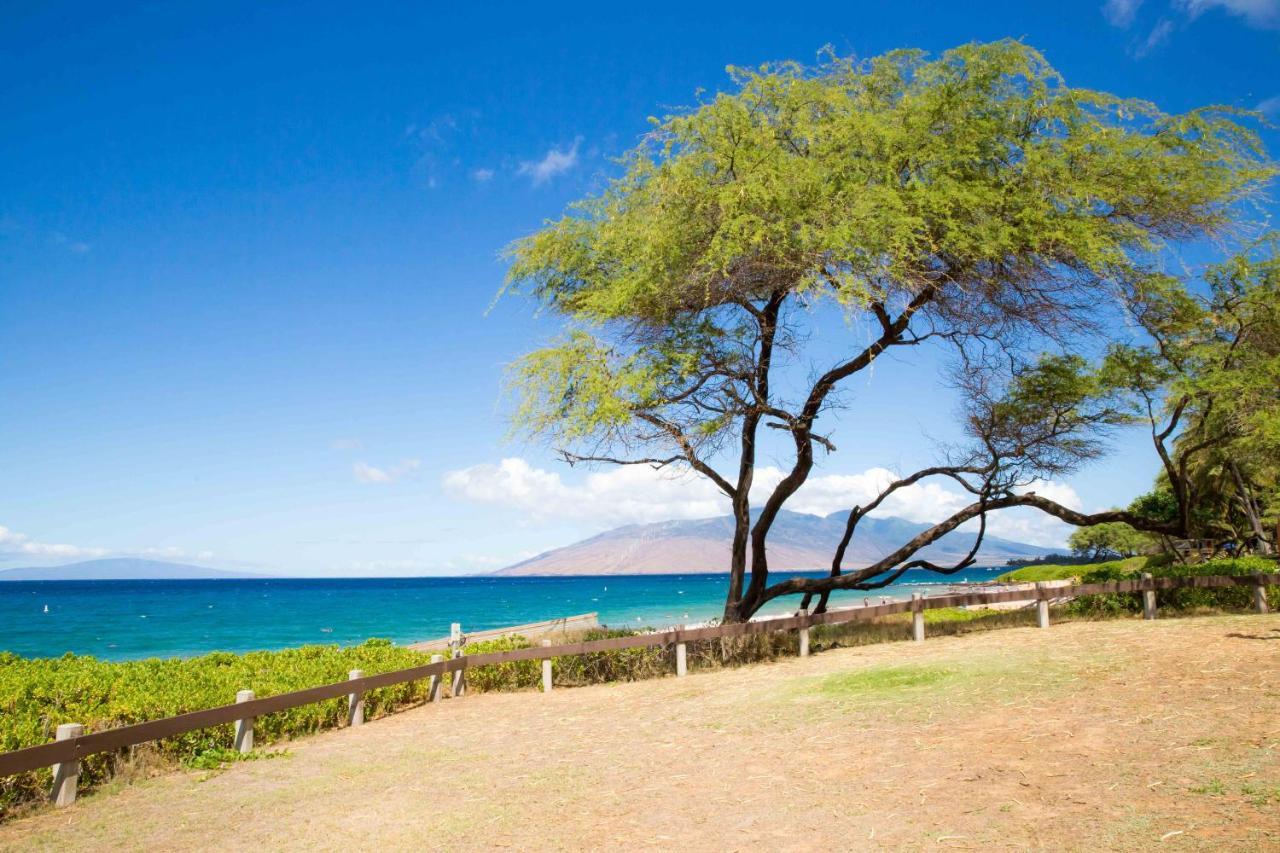 Вілла Hale Kamaole 254 Вайлеа Екстер'єр фото